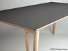 Formica Desk Top 